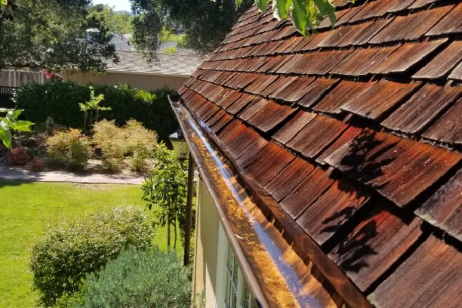 How Pressure Washing Services Protect Against Mold In Gutters in San Jose, CA How Pressure Washing Services Protect Against Mold In Gutters in San Jose, CA
