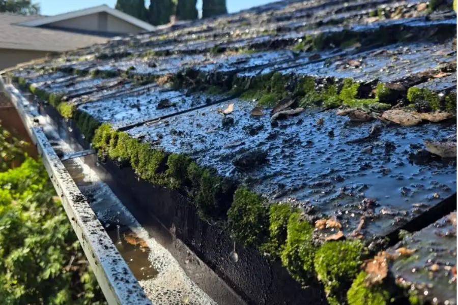 The Link Between Clogged Gutters And Roof Damage in San Jose, CA The Link Between Clogged Gutters And Roof Damage in San Jose, CA