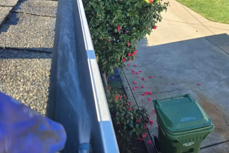 Why Pressure Washing Is Essential For Prolonging Gutter Lifespan in San Jose, CA Why Pressure Washing Is Essential For Prolonging Gutter Lifespan in San Jose, CA